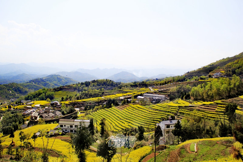 凤堰古梯田5