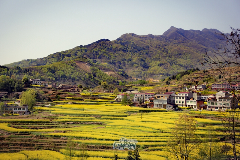 凤堰古梯田1