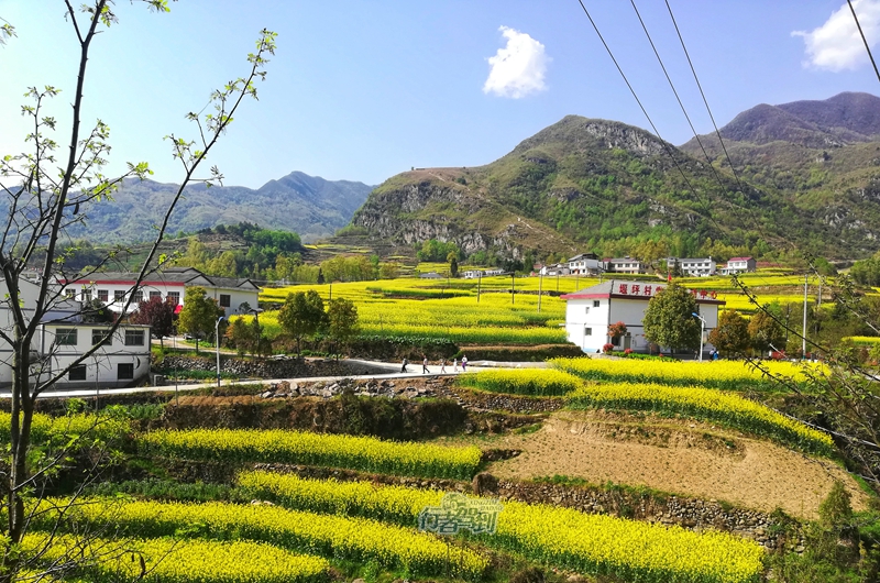 凤堰古梯田7