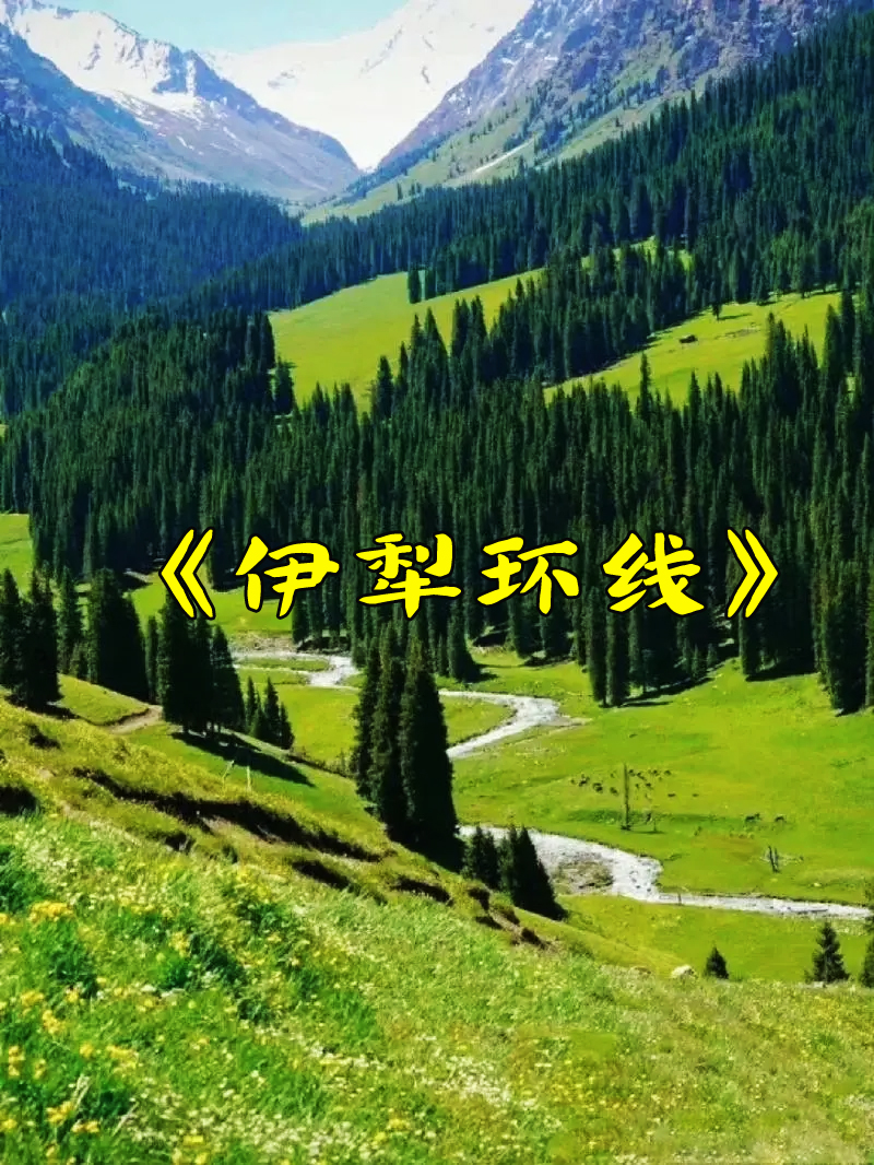 伊犁头图副本